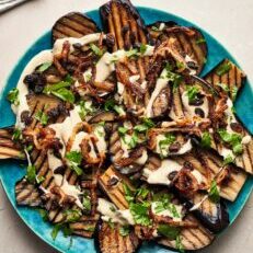 Coronation Aubergine